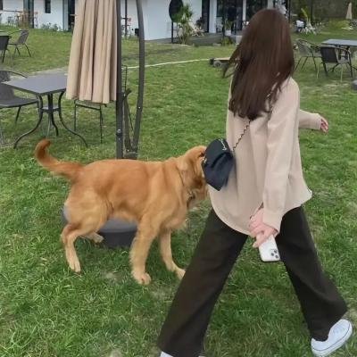 爱情盲选:巴西篇第二季